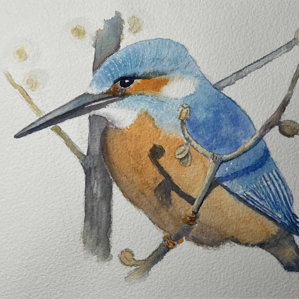 Eisvogel, Aquarell auf Büttenpapier Eisvogel auf einem Ast. Aquarell auf Büttenpapier